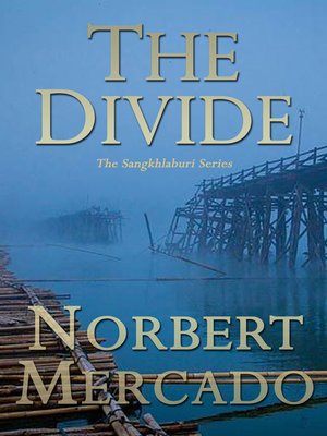 cover image of The Divide